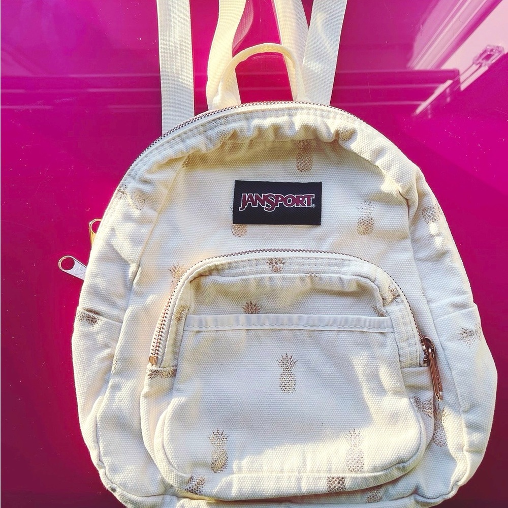 Jansport Back pack